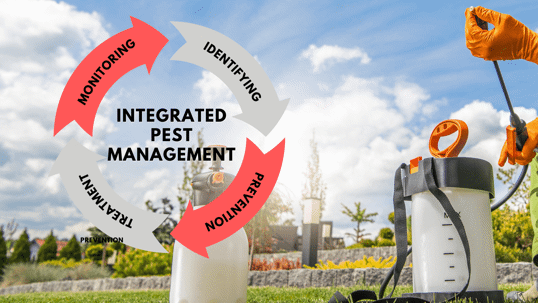 Integrated Pest Management