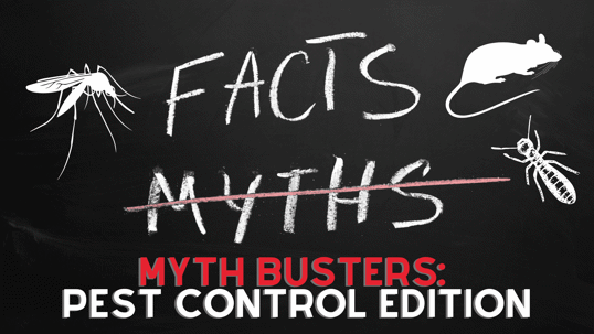 Pest Control Myths
