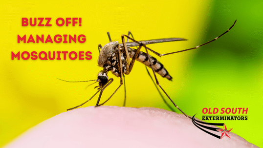 Lowcountry mosquito control