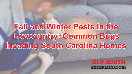 fall and winter pests in the Lowcountry
