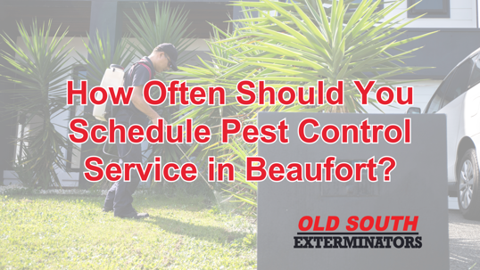 pest control service in Beaufort