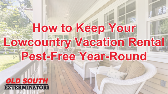 Vacation rental pest control Lowcountry