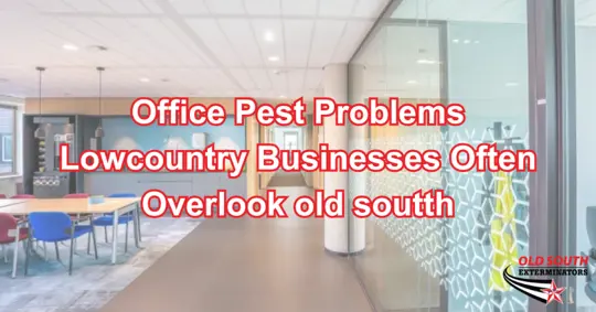 Office pest control for Lowcountry businesses and commercial workplaces