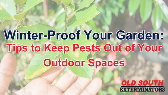 protect your garden from pests this winter