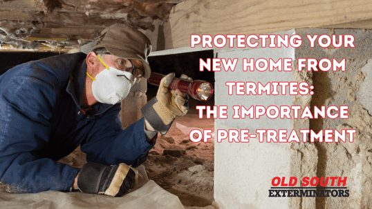 Protecting Your New Home from Termites: The Importance of Pre-Treatment