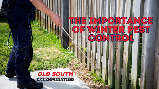 winter pest control in the Lowcountry