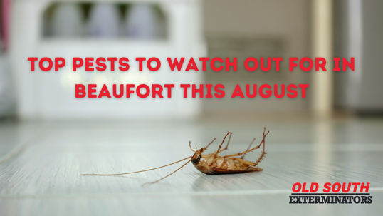 Beaufort pest control services