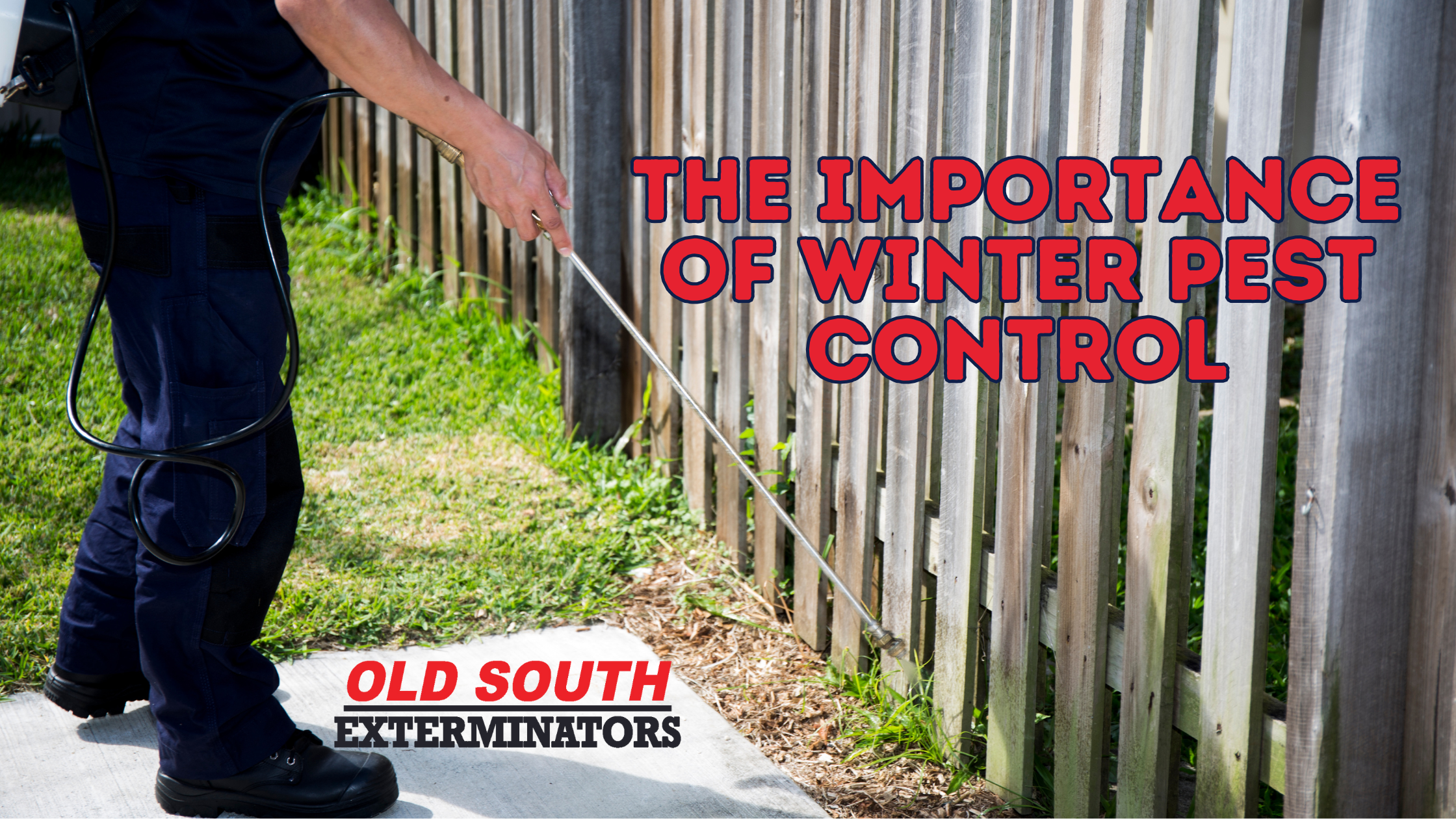 Protect your home this season with winter pest control in the ...